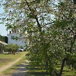 Garden Sunny Tale