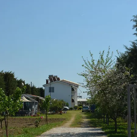 Garden Sunny Tatil Evi