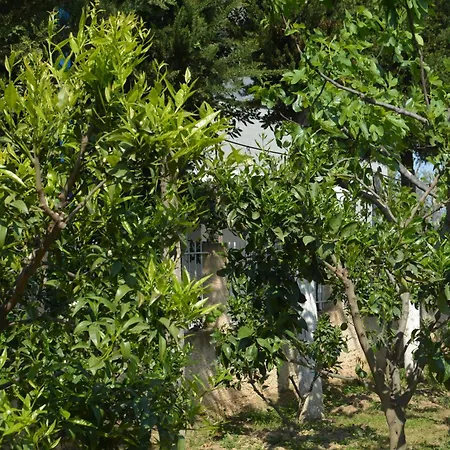 Tatil Evi Garden Sunny *