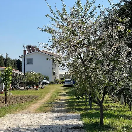 Garden Sunny Nyaraló