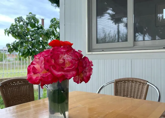 Garden Sunny Tatil Evi *