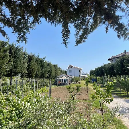 Garden Sunny