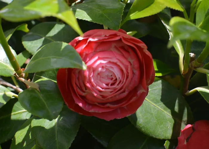 Garden Sunny Hébergement de vacances *