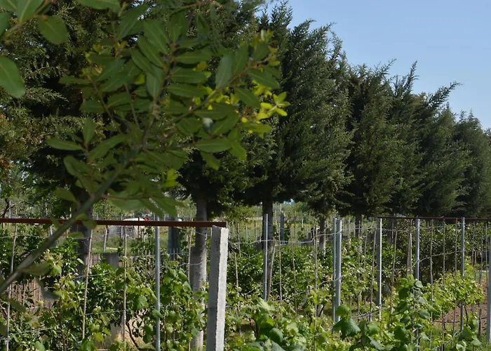 Garden Sunny Hébergement de vacances Tale