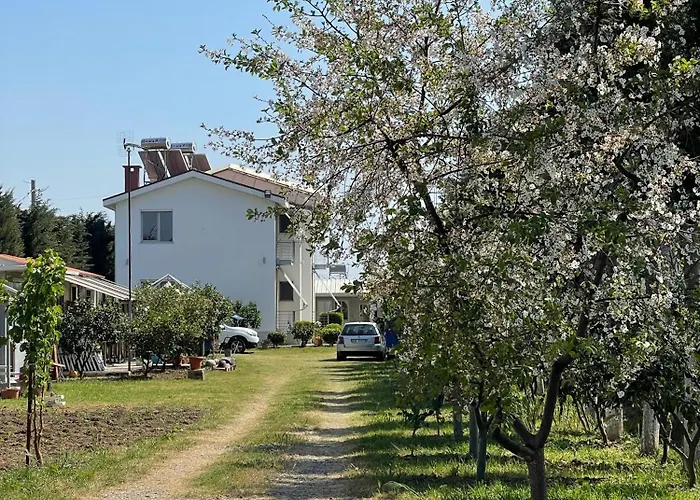 Garden Sunny Hébergement de vacances